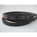 ремінь Z53631 Harvest Belts