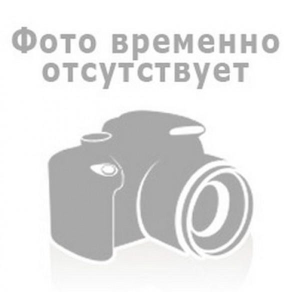 ущільнення варіатора 25х454х5 [TR]