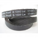 ремінь 123306A1 Harvest Belts