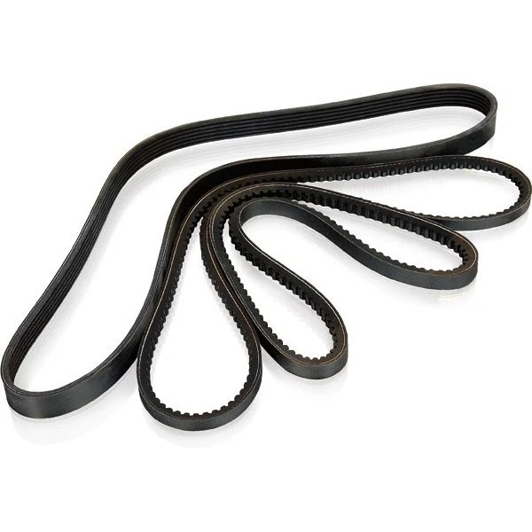 ремінь CM15521 Harvest Belts